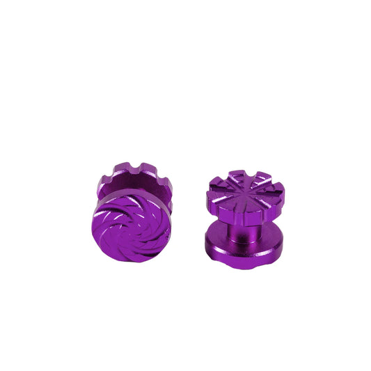 Machined Goggle Screw Set "Cyclone" Purple