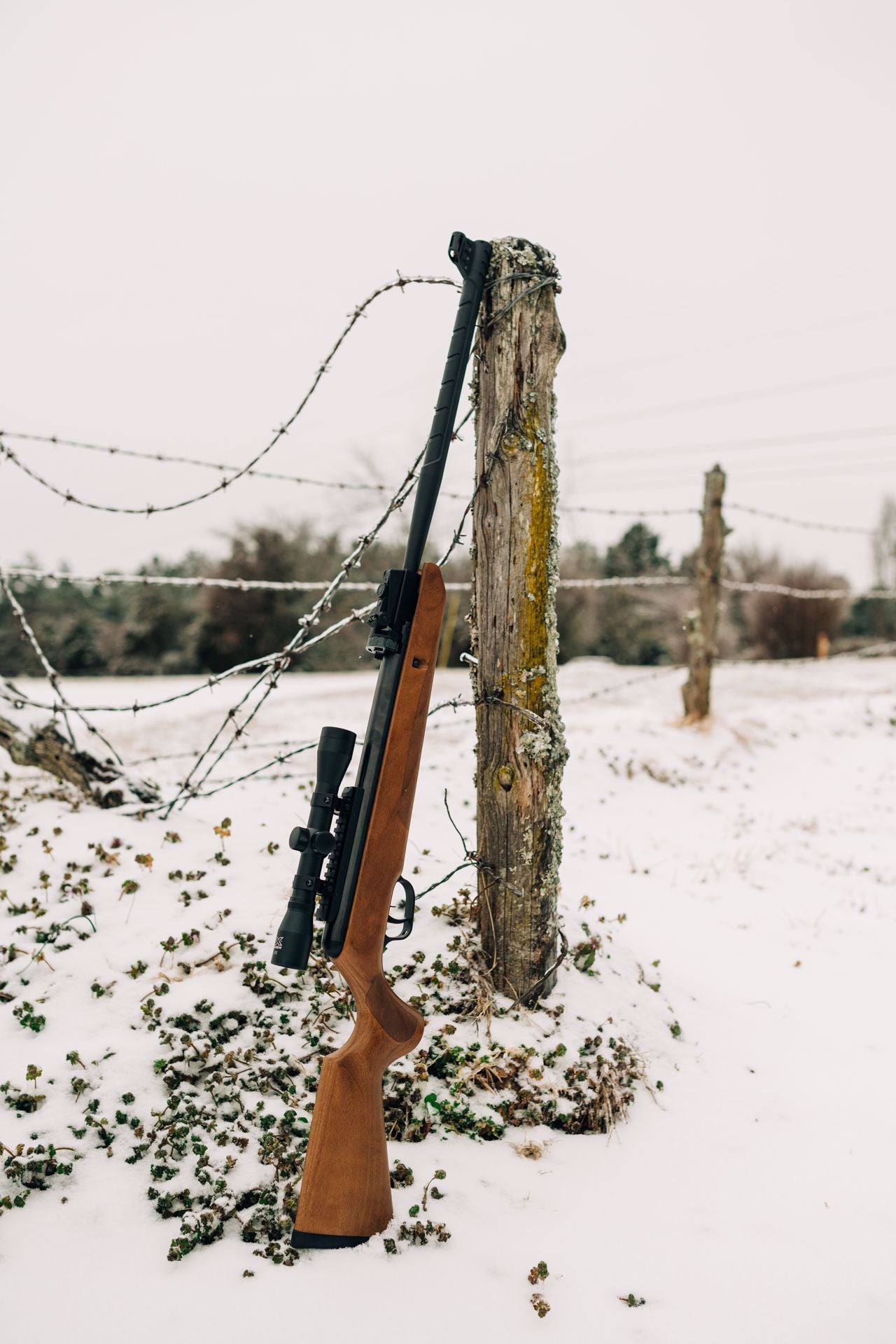 UX Emerge .22 Wood Stock : Umarex Airguns | Buy Airgun Bb Rifle - Image 11